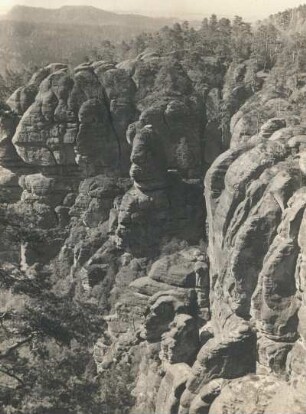 Elbsandsteingebirge. Basteigebiet. Hirschgrund, Blick zum Großen Bärenstein