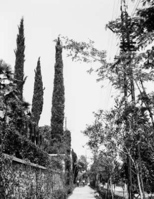 Salò