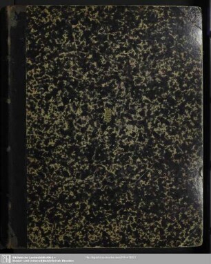 4: Neue Käfer von Celebes