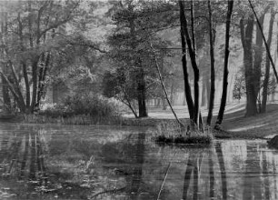 Schlosspark Sanssouci im Herbst. Morgennebel