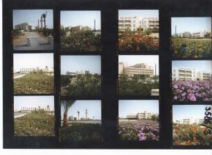 Medical Center Dhahran, 1986