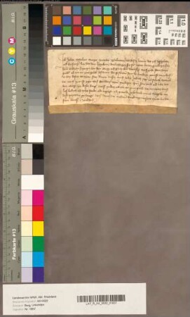 Der Kölner Bürger Johann Scheilard quittiert Herzog Wilhelm über sechs Gulden Leibrenten.