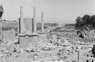 Ruinen von Leptis Magna : Blick auf die Ruinen von Leptis Magna