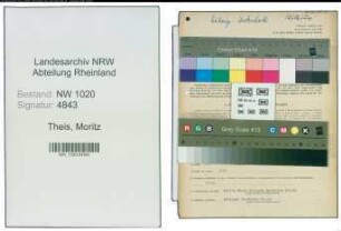 Entnazifizierung Moritz Theis , geb. 04.11.1902 (Vulkaniseur)