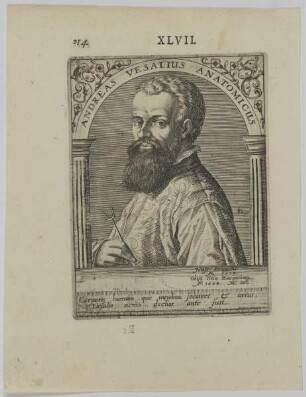 Bildnis des Andreas Vesalius