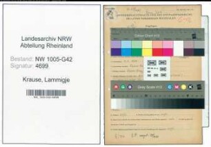 Entnazifizierung Lammigje Krause , geb. 04.04.1909 ()