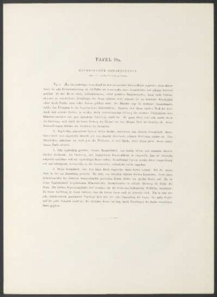 Tafel 59a. - Baumwollene Gewandstoffe.