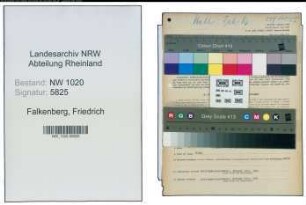 Entnazifizierung Friedrich Falkenberg , geb. 01.09.1890 (Fabrikant)