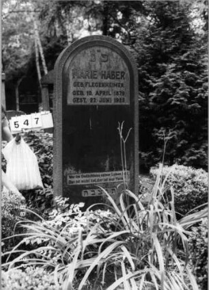 Grabstein 547