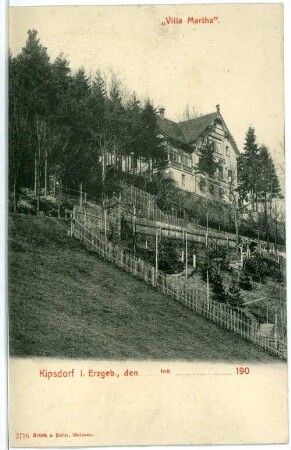 Kipsdorf im Erzgebirge. Villa Martha