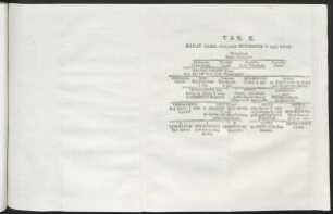 Tab. X. Elicae Origo, Conjugis Bernhardi II. Sax. Ducis