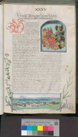 Herzog Johann von Kleve und Jülich