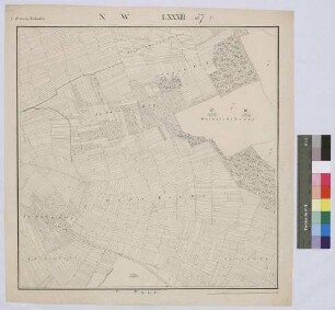 [Gemeindewaldung in der Steuergemeinde Birkenfeld, Topograph. Karte 1:2500]