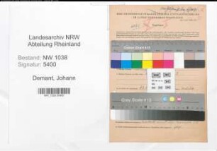 Entnazifizierung Johann Demant , geb. 08.05.1895 (Arbeiter)