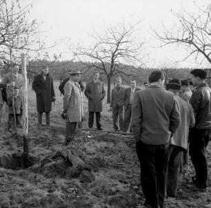 Gedern. Offenbar frisch verheiratete Männer auf einer Wiese mit jungen Bäumen (wahrscheinlich wird traditionell für den neuen Ehestand ein Baum gepflanzt)