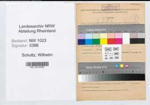 Entnazifizierung Wilhelm Schultz , geb. 14.02.1895 (Finanzoberinspektor)