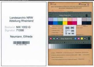 Entnazifizierung Elfriede Neumann, geb. 08.06.1913 (Kaufm.Angest.)