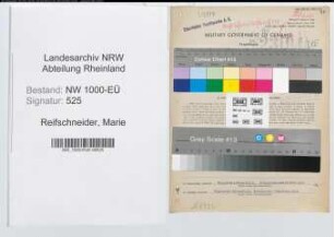 Entnazifizierung Marie Reifschneider, geb. 29.01.1893 (Kontoristin)