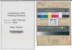 Entnazifizierung Richard Nees , geb. 03.03.1900 (Kaufmann)