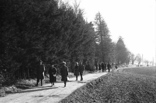 Horben: Spaziergänger in der Januarsonne am Wald