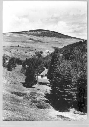 Erzgebirge. Fichtelberg. Zechengrund (Naturschutzgebiet)