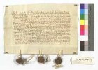 Die drei Schwestern Agatha, Ursel und Anna, Töchter des Heinrich von Westerstetten seligen, urkunden, dass mit ihrer Einwilligung ihr Vater den Hof zu Weidach, den Kaltysen baut, dem Kloster Söflingen gegeben habe und sie auf alle Rechte daran verzichten; doch sollen ihre Base Ann von Westerstetten zu Söflingen und nach ihrem Tod die drei Klosterfrauen, Töchter des Vetters der Ausstellerinnen Agnes und Margrete von Westerstetten und die Muhme Margrete von Griesingen, das Gut auf Lebenszeit genießen; nach aller dieser Tod soll es an den gemeinen Konventstisch fallen und damit ihres Vaters Heinrich von Westerstetten Jahrzeit begangen werden.