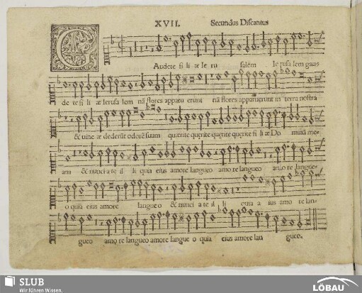 XVII. Gaudete filiae Ierusalem