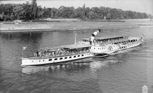 Personen-Seitenraddampfer "Dresden" (1926, Werft Laubegast) bei Dresden-Kleinzschachwitz, Fahrt stromauf