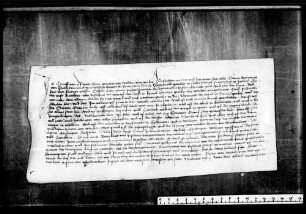Der Hofrichter zu Rottweil gebietet dem Clos Cun, Urteilsprecher des Hofgerichts, daß er Burkhard von Reischach in nützliche Gewere auf genannte Güter des Grafen Friedrich d. Ä. setze und ihn darauf schirme.