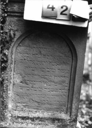 Grabstein 42 (Index: 99751760) Material: Sandstein Zustand: abgeblättert mit Textverlust Maße HxBxT: 171x64x29 cm Beschreibung: Abdeckplatte m. Volutenaufsatz m. Palmette/Schrift eingetieft m. Rundbogenabschluß Symbolik: Voluten, Palmette: Grabstein 42A