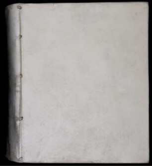 Disputatio Iuridica De Fideiussoribus