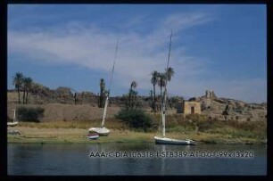 Elephantine