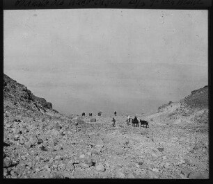 Oberhalb des nakb en-gidi [En-Gedi]