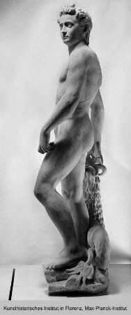 Apoll (Allegorie auf Cosimo I. de' Medici)