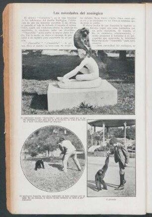 Las novedades del zoológico