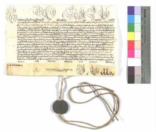 Bulle über die Aufschwörung des Ellwanger Kapitularen Johann Anton Albert von Freyberg.