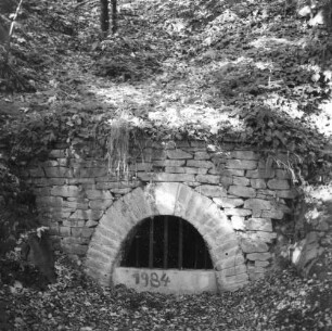 Mittelsachsen. Rothschönberger Stolln (1844/1846). Felsenbachrösche. Mundloch (1984 saniert)