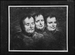 Napoleon I., Kaiser der Franzosen