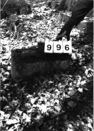 Grabstein 996