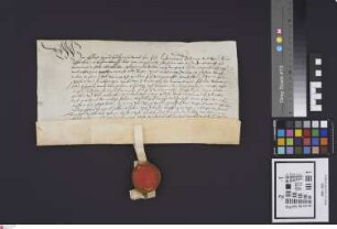 Babenhausen: Philipp Graf zu Hanau übergibt benannten Personen eine Wiese zu Babenhausen, die Judenwiese genannt