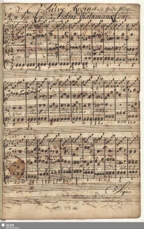 Salve regina, mater misericordiae vita dulcedo