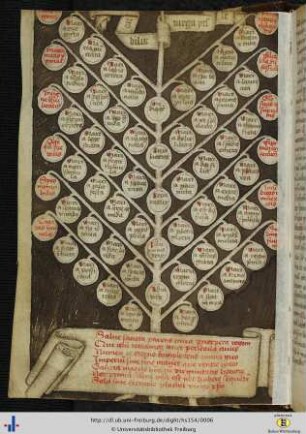 (1v) Lignum pomiferum beatae Mariae virginis in ganzseitiger Schema-Zeichnung.