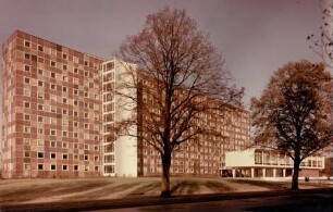 Oberfinanzdirektion, Frankfurt am Main, 1954-1955
