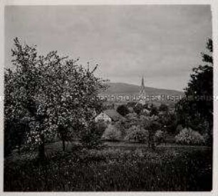 Oberteuringen, Obstbau, Obstlandschaft