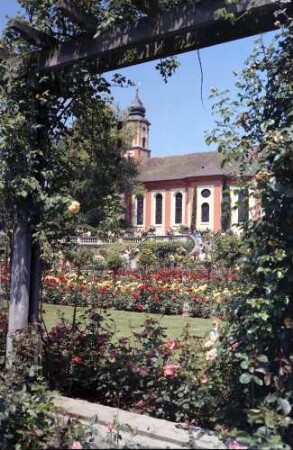 Mainau, Insel Mainau: Rosengarten mit Kapelle