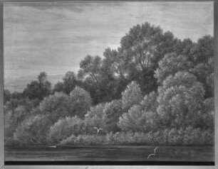 Pfaueninsel bei Pillnitz
