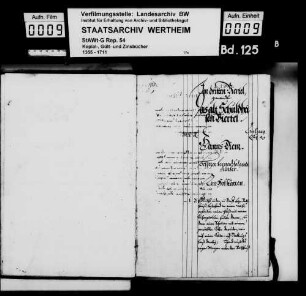 Mess- und Anlagebuch von Dertingen (Drittes Viertel)