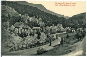 Krondorf. Sauerbrunn - Villa Waldkoboldsheim