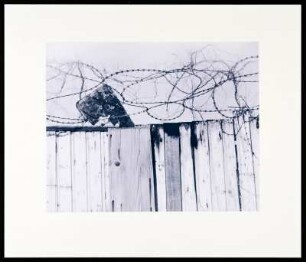 Foto, Köln
