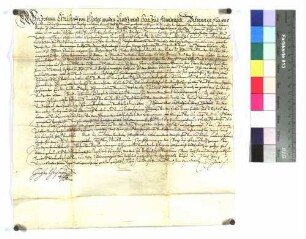 Propst Johann Christoph von Westerstetten verleiht Hans Pfitzer ein Erblehen zu Bühlertann.